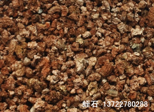 2012090583258721.jpg